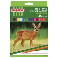 Пифагор Карандаши цветные