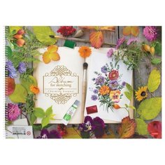 Альбом для рисования Hatber