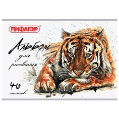 Альбом для рисования Пифагор