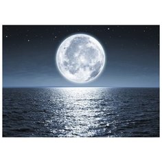 Картина Ekoramka на холсте Луна