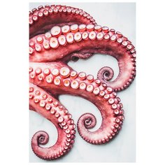 Картина Ekoramka Щупальца