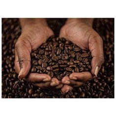 Картина Ekoramka Руки и зёрна