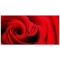 Картина Ekoramka Бутон красной