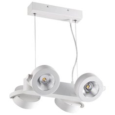 Спот Odeon light Pumavi 3493/40L