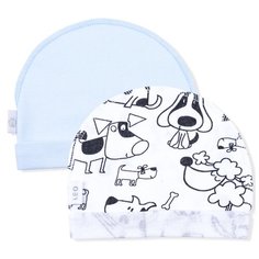 Шапка LEO размер 40, голубой/белый Лео