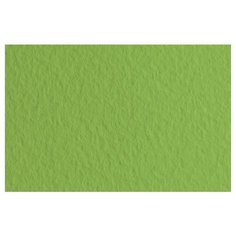 Бумага Fabriano Tiziano для пастели 65 х 50 см, 160г/м², 10 л. muschio