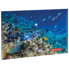 BRAUBERG Папка-конверт с кнопкой Sea world А4, пластик синий