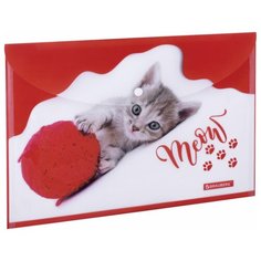BRAUBERG Папка-конверт с кнопкой Funny cat А4, пластик красный