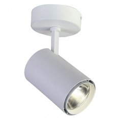 Спот Favourite Projector 1773-1U