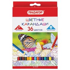 Пифагор Карандаши цветные Бабочки, 36 цветов (181354)