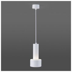 Спот Elektrostandard DLR033 9W 4200K 3300 белый/хром