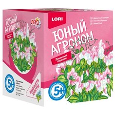 Набор для выращивания LORI Юный агроном. Душистый горошек Р-005