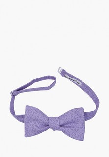 Бабочка Rainbowtie