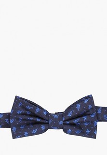 Бабочка Cleverly