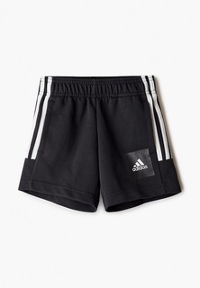 Шорты спортивные adidas