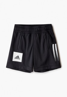 Шорты спортивные adidas