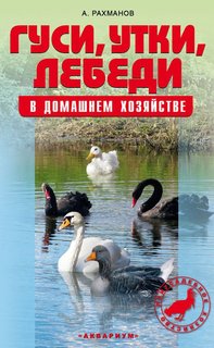 Гуси, утки, лебеди в домашнем хозяйстве Аквариум Принт