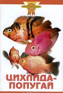 Цихлида-попугай (цвет) Аквариум Принт
