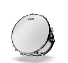 Пластик EVANS B10G1