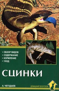 Сцинки. Обзор видов. Содержание. Кормление. Уход Аквариум Принт