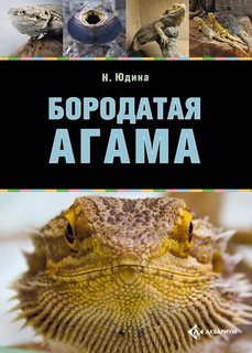 Бородатая агама Аквариум Принт