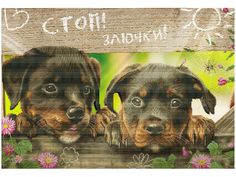 Набор для вышивания крестом на канве с рисунком Нова Слобода "Нам бы туда", 43x28 см, арт.