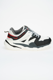 Кроссовки мужские Ascot ROCKY серые 45 RU