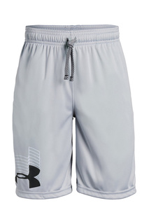 Шорты Prototype Logo Shorts Under Armour