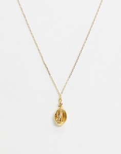 Золотистое ожерелье с ракушкой Shashi-Золотой