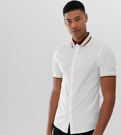 Облегающая рубашка стретч с бордовым воротником в рубчик ASOS DESIGN Tall-Белый