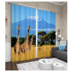 Фотошторы Сирень Трио