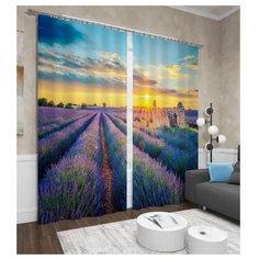 Фотошторы Сирень Лавандовый