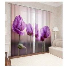 Фотошторы Сирень Фиолетовые