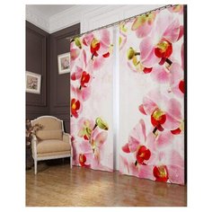 Фотошторы Сирень Молодые