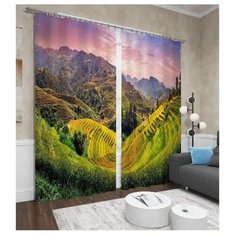 Фотошторы Сирень Чайные поля