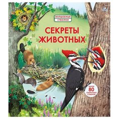 Бон Э. Волшебные створки. Робинс