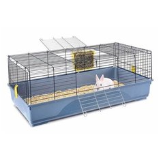 Клетка для грызунов Imac Easy