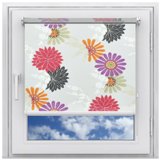 Рулонная штора Мастер Плюс