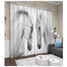 Фотошторы Сирень Пара