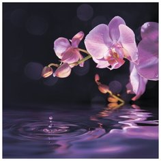 Картина Ekoramka на стекле