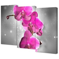 Модульная картина Toplight