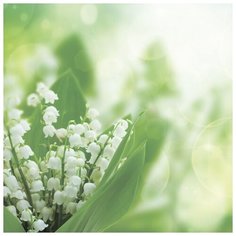 Картина Ekoramka на стекле