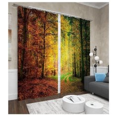 Фотошторы Сирень Осенний лес