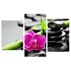 Модульная картина Toplight