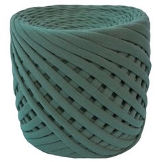 Пряжа MisterBanana трикотажная, 100 % хлопок, 105 м, светло-зеленый