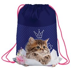 Berlingo Мешок для обуви Princess cat (MS09221) синий
