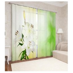 Фотошторы Сирень Бутон белых лилий (ФШСТ001-14040) на ленте 260 см белый