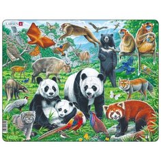 Рамка-вкладыш Larsen Дикие животные Азии (FH43), 56 дет.