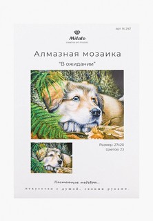 Набор для творчества Милато