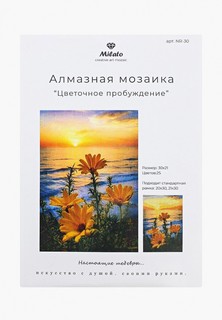 Набор для творчества Милато